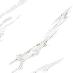 Ảnh Gạch Taicera GP88022 1