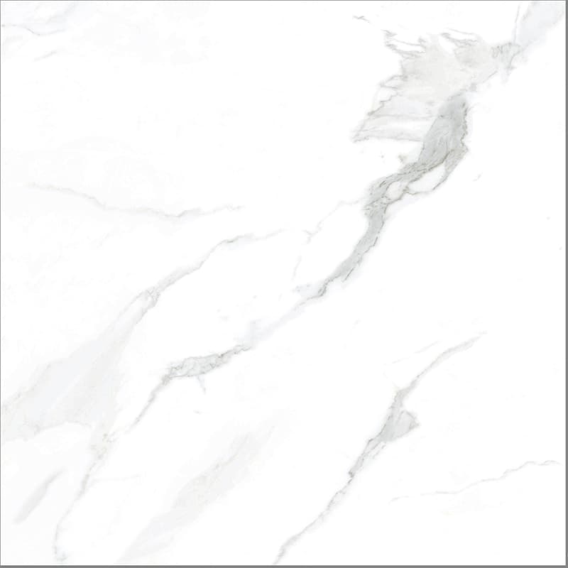 Gạch Taicera GP88805