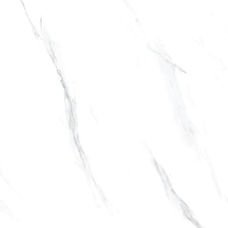 Ảnh Gạch Taicera GP88865 1