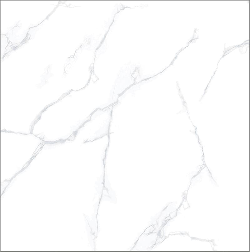 Gạch Taicera GP98805