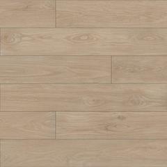 Ảnh Gạch Đồng Tâm 20120BANYAN003 1