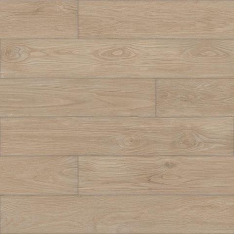 Gạch Đồng Tâm 20120BANYAN003