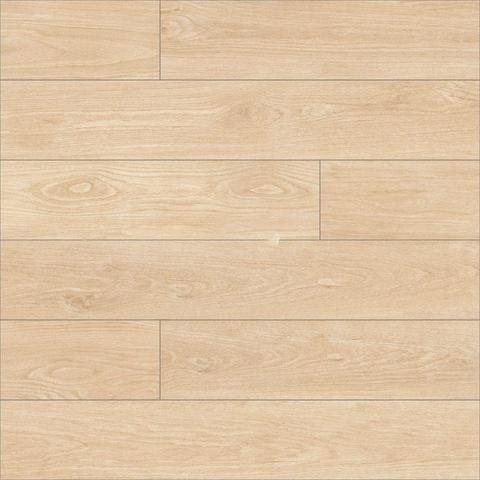 Gạch Đồng Tâm 20120BANYAN004