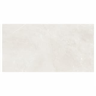 Ảnh Gạch Taicera G12845 1