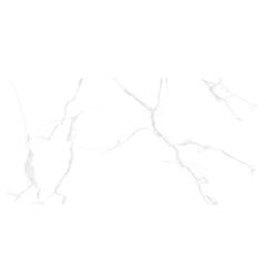 Ảnh Gạch Taicera GP12085 1