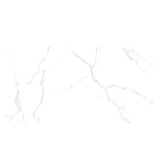 Ảnh Gạch Taicera GP12085 1