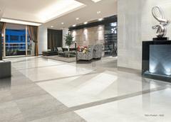 Ảnh Gạch Taicera P87225N 2