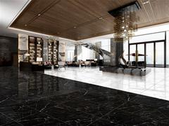 Ảnh Gạch Taicera GP12909 2