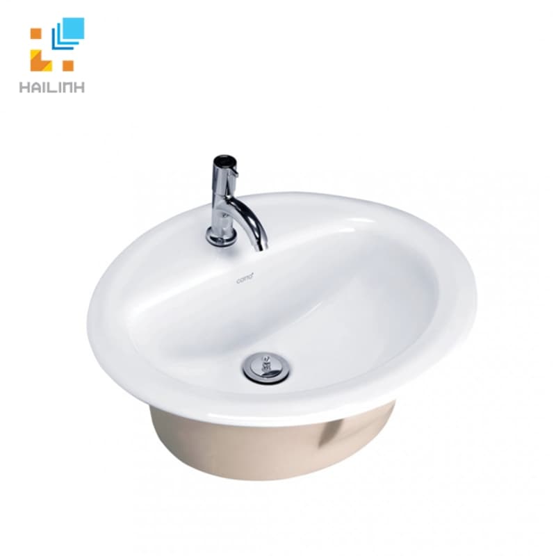 Chậu rửa âm bàn Cotto C008