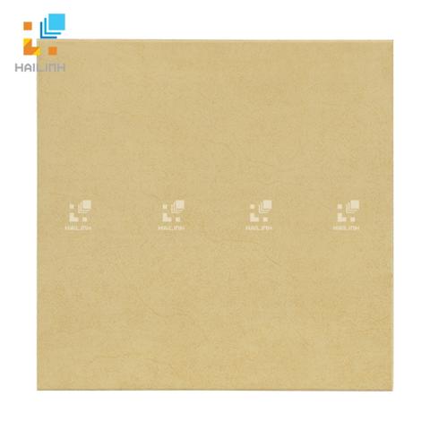 Gạch Viglacera V 248