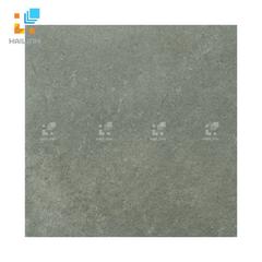 Ảnh Gạch Viglacera Platinum PT20-G203 1