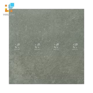 Ảnh Gạch Viglacera Platinum PT20-G203 1