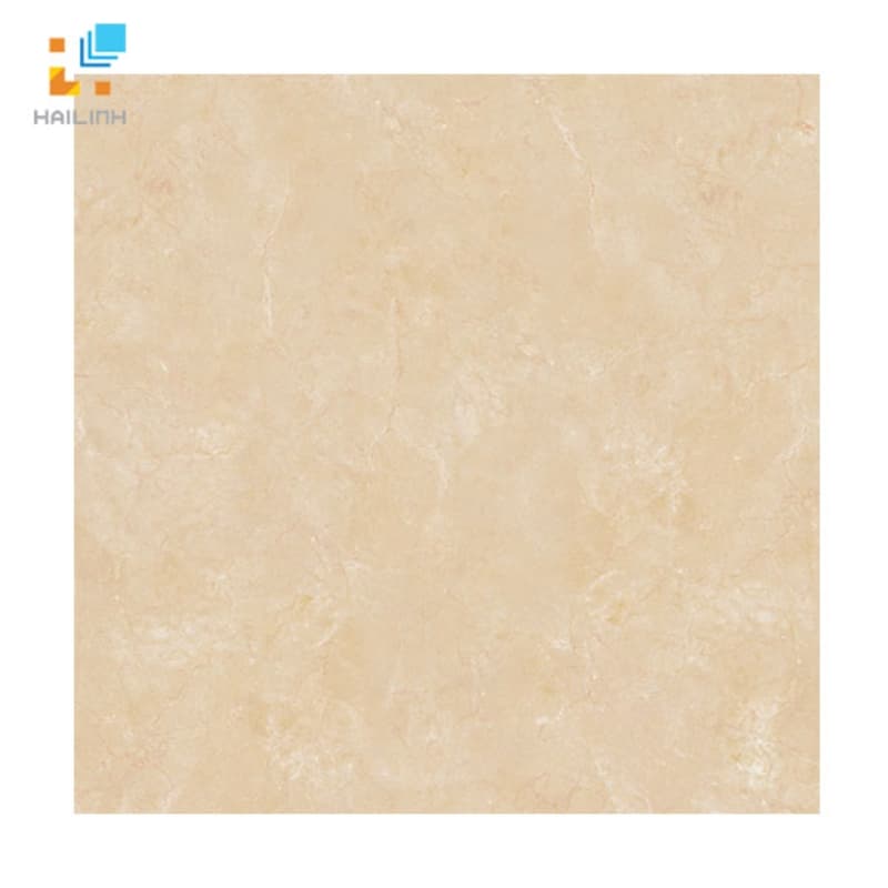 Gạch lát nền Viglacera B6005