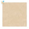 Ảnh Gạch lát nền Viglacera B6005 1