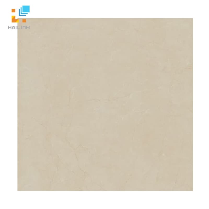 Gạch lát nền Viglacera B6009