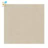 Gạch lát nền Viglacera B6009 1