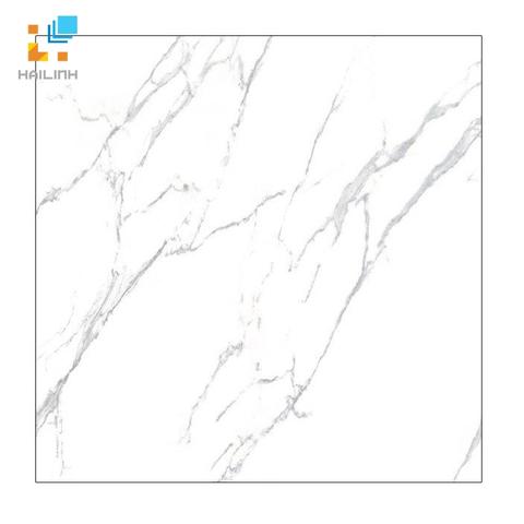 Gạch lát nền Viglacera ECO S611