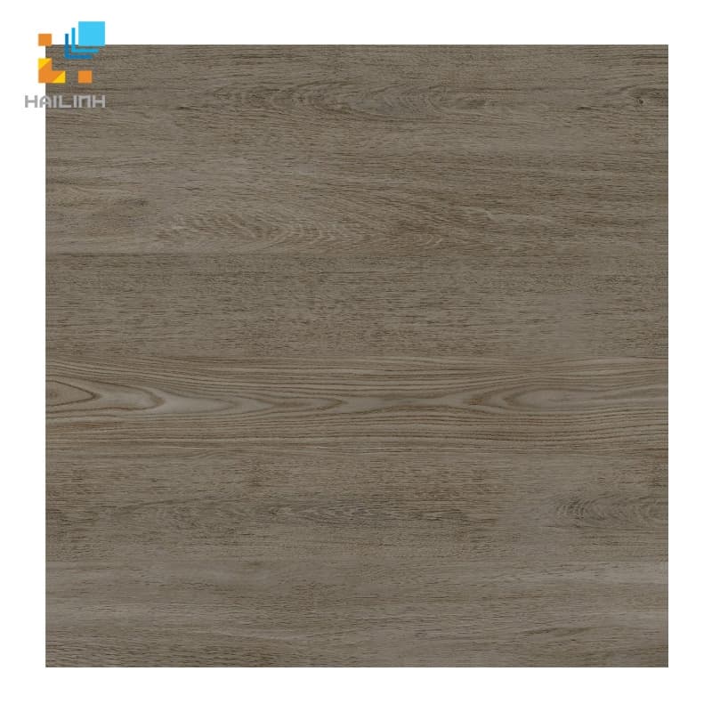 Gạch lát nền Viglacera G 6001