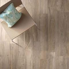Ảnh Gạch Vilgacera GT15602 3