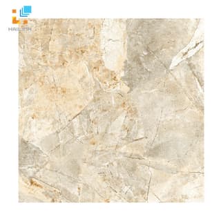 Gạch Viglacera H 502