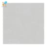 Gạch lát nền Viglacera M 6005 1