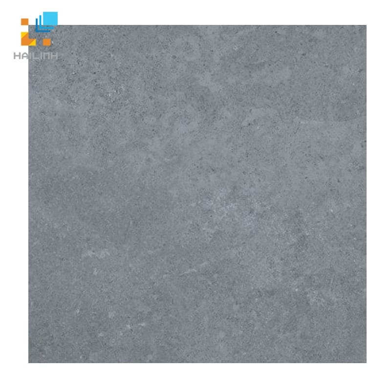 Gạch lát nền Viglacera PT 20-603