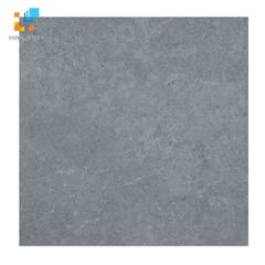 Ảnh Gạch lát nền Viglacera PT 20-603 1