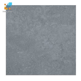 Ảnh Gạch lát nền Viglacera PT 20-603 1