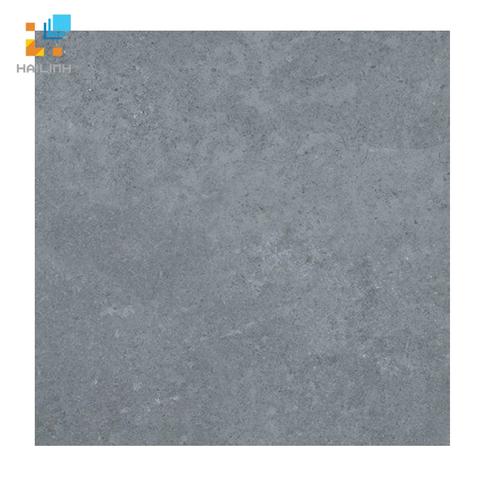 Gạch lát nền Viglacera PT 20-603