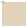 Gạch lát nền Viglacera TS2 612 1
