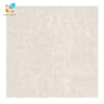 Gạch lát nền Viglacera TS2 617 1