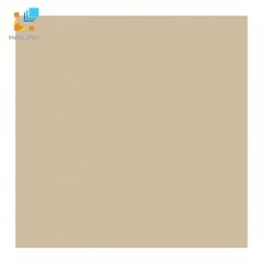 Ảnh Gạch lát nền Viglacera TS5 602 1