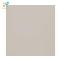 Ảnh Gạch Viglacera TS5801 1
