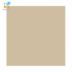 Ảnh Gạch Viglacera TS5 802 1