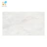 Gạch Viglacera Platinum CB PT-61203 1