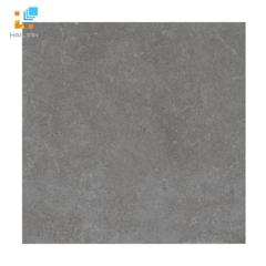 Ảnh Gạch lát nền Viglacera PT 20-601 1