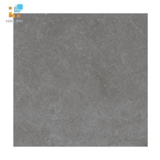 Ảnh Gạch lát nền Viglacera PT 20-601 1