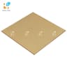 Gạch Viglacera V 248 2