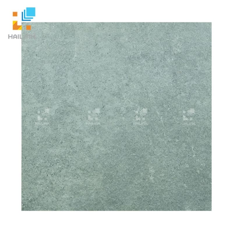 Gạch Viglacera Platinum PT20-G603