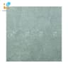 Gạch Viglacera Platinum PT20-G603 1