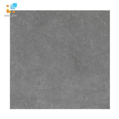 Gạch Viglacera Platinum PT 20-G6603