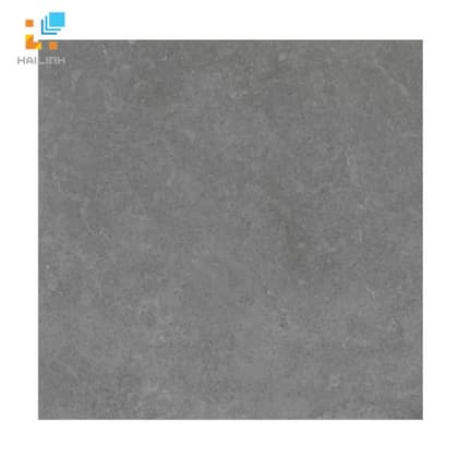 Gạch Viglacera Platinum PT 20-G6603