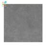 Gạch Viglacera Platinum PT 20-G6603 1