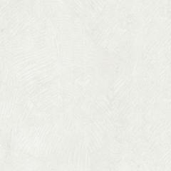 Ảnh Gạch Taicera G88825J 3