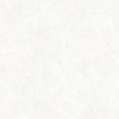Ảnh Gạch Viglacera AZ15-GP8801 4