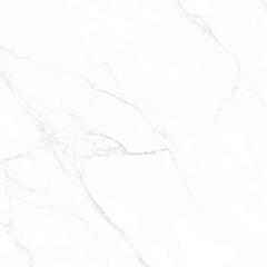 Ảnh Gạch Viglacera AZ6-GM8801 4