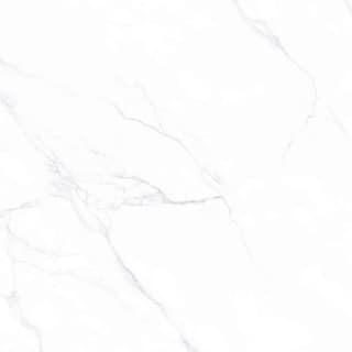 Ảnh Gạch Viglacera AZ6-GM8801 4