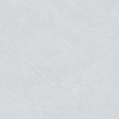 Ảnh Gạch Viglacera AZ8-GM8801 3