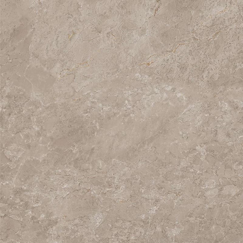 Gạch Viglacera AZ9-GP8804