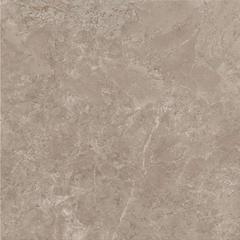 Ảnh Gạch Viglacera AZ9-GP8804 4